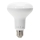 LED elektros lemputė R90 E27/15W/230V 6500K - Aigostar