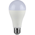 LED elektros lemputė SAMSUNG CHIP A65 E27/17W/230V 3000K