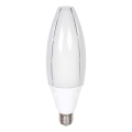 LED elektros lemputė SAMSUNG CHIP E40/60W/230V 6500K