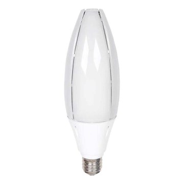 LED elektros lemputė SAMSUNG CHIP E40/60W/230V 6500K