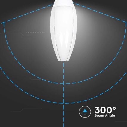 LED elektros lemputė SAMSUNG CHIP E40/60W/230V 6500K