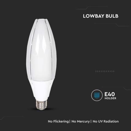 LED elektros lemputė SAMSUNG CHIP E40/60W/230V 6500K