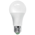 LED elektros lemputė su jutikliu ECOLINE A60 E27/12W/230V 3000K -  Brilagi
