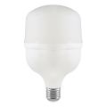 LED elektros lemputė T100 E27/30W/230V 6500K