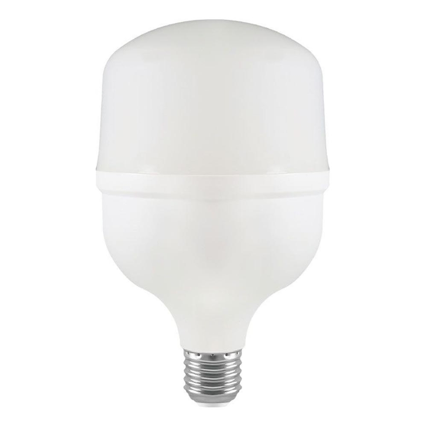 LED elektros lemputė T100 E27/30W/230V 6500K