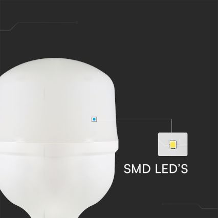 LED elektros lemputė T100 E27/30W/230V 6500K