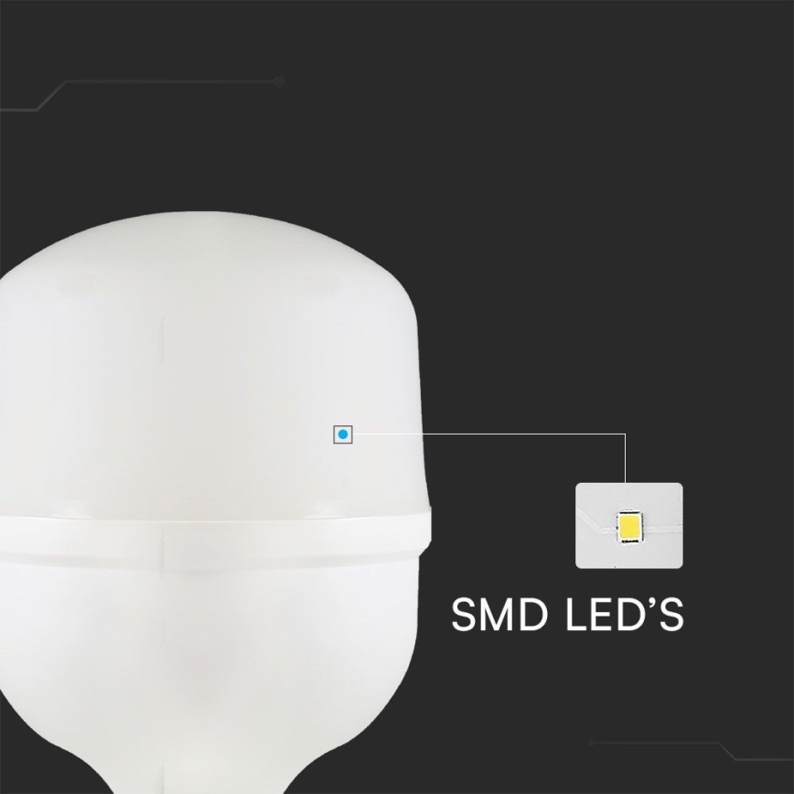 LED elektros lemputė T100 E27/30W/230V 6500K