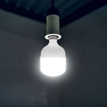 LED elektros lemputė T120 E40 E27/40W/230V 6500K