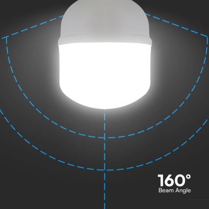 LED elektros lemputė T120 E40 E27/40W/230V 6500K