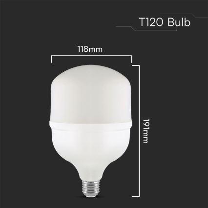 LED elektros lemputė T120 E40 E27/40W/230V 6500K