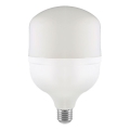 LED elektros lemputė T160 E40 E27/60W/230V 6500K