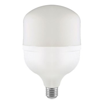 LED elektros lemputė T160 E40 E27/60W/230V 6500K