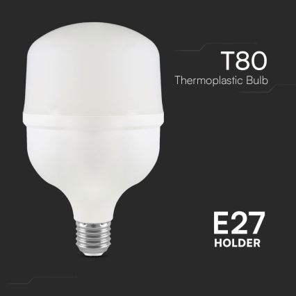 LED elektros lemputė T80 E27/20W/230V 4000K