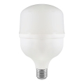 LED elektros lemputė T80 E27/20W/230V 6500K