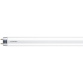 LED fluorescencinė lempa Philips MASTER T8 G13/18W/110V 4000K 120 cm