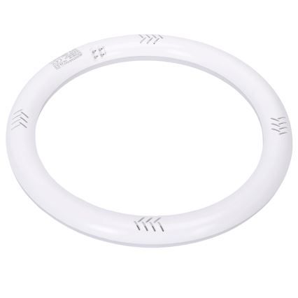 LED fluorescencinis vamzdelis G10q/17W/230V 4000K - Aigostar