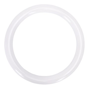LED fluorescencinis vamzdelis G10q/17W/230V 6500K - Aigostar