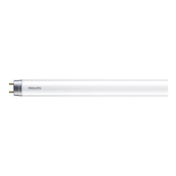 LED Fluorescencinis vamzdis Philips T8 G13/16W/230V 6500K 120 cm