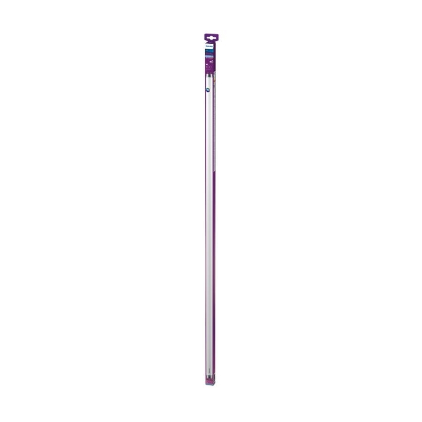 LED Fluorescencinis vamzdis Philips T8 G13/16W/230V 6500K 120 cm