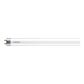 LED Fluorescencinis vamzdis Philips T8 G13/19,5W/230V 6500K 150 cm