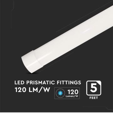 LED Fluorescentinis šviestuvas SAMSUNG CHIP LED/50W/230V 6500K 150 cm