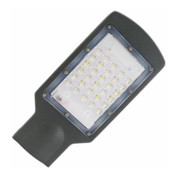 LED Gatvės lempa LED/30W/230V IP65