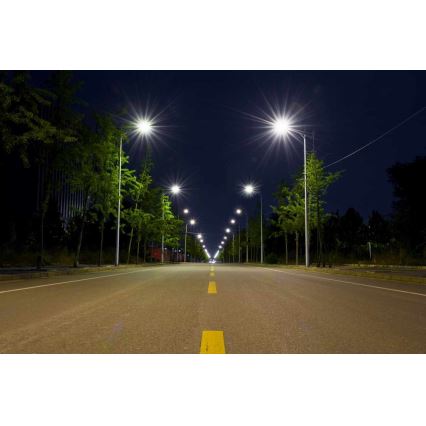 LED gatvės šviestuvas BOSTON LED/35W/230V IP65