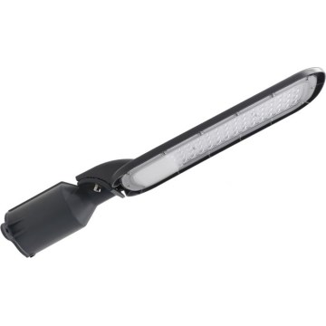 LED gatvės šviestuvas BRELUXO LED/100W/230V 4000K IP65