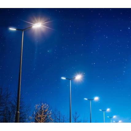 LED gatvės šviestuvas BRELUXO LED/100W/230V 4000K IP65
