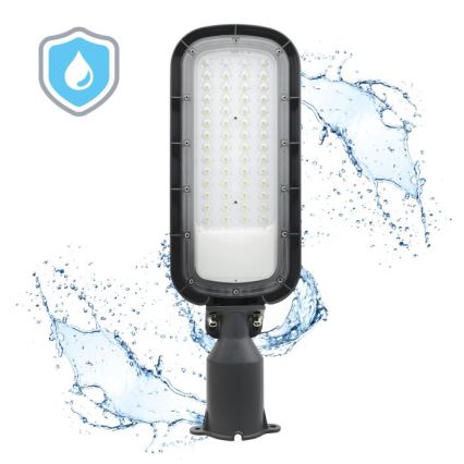 LED gatvės šviestuvas BRELUXO LED/100W/230V 4000K IP65