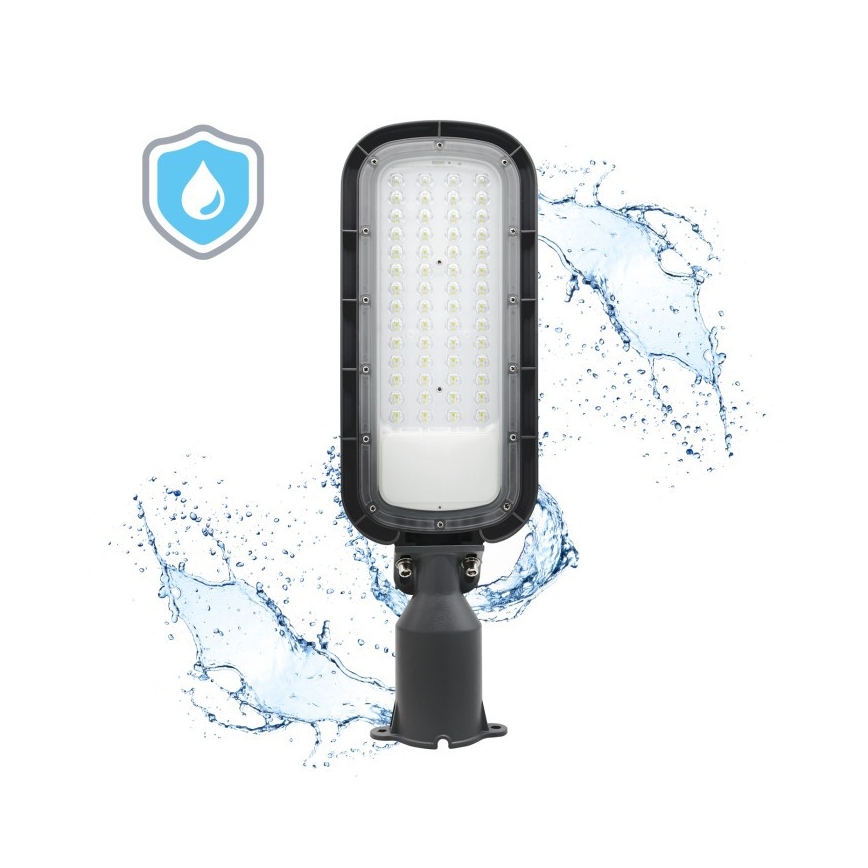 LED gatvės šviestuvas BRELUXO LED/100W/230V 4000K IP65