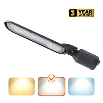 LED gatvės šviestuvas BRELUXO LED/100W/230V 4000K IP65