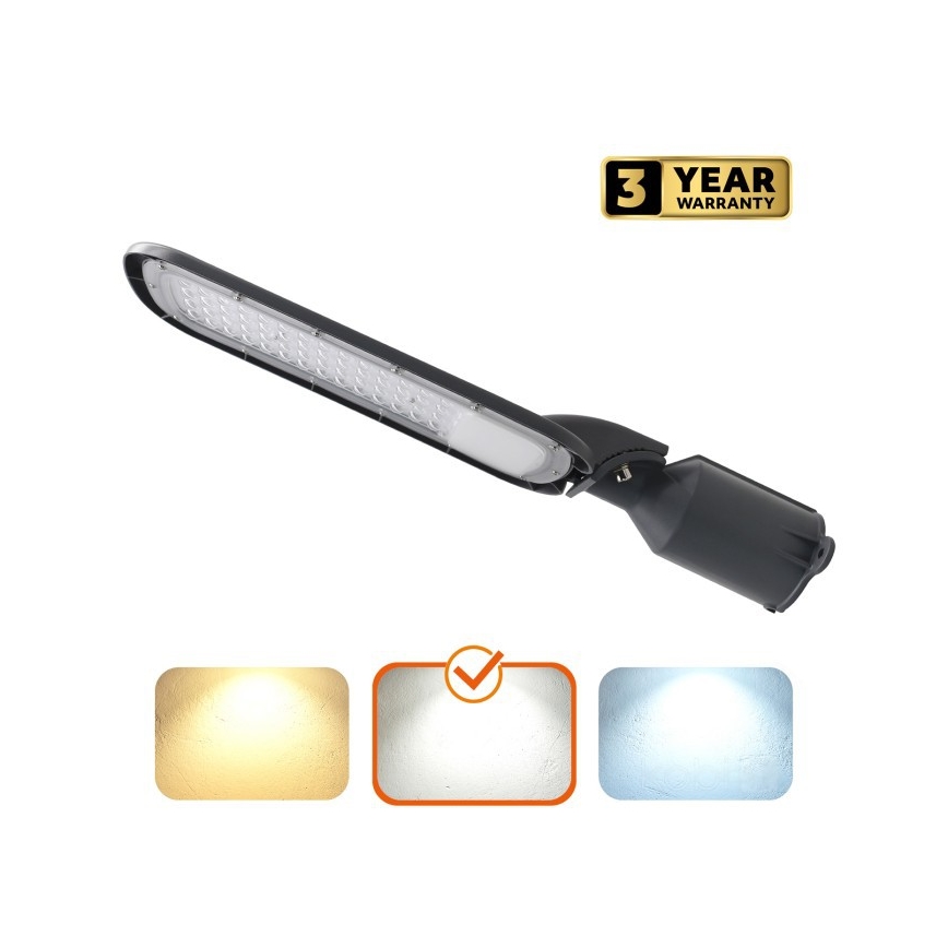 LED gatvės šviestuvas BRELUXO LED/100W/230V 4000K IP65