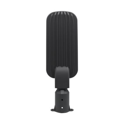 LED gatvės šviestuvas BRELUXO LED/100W/230V 4000K IP65
