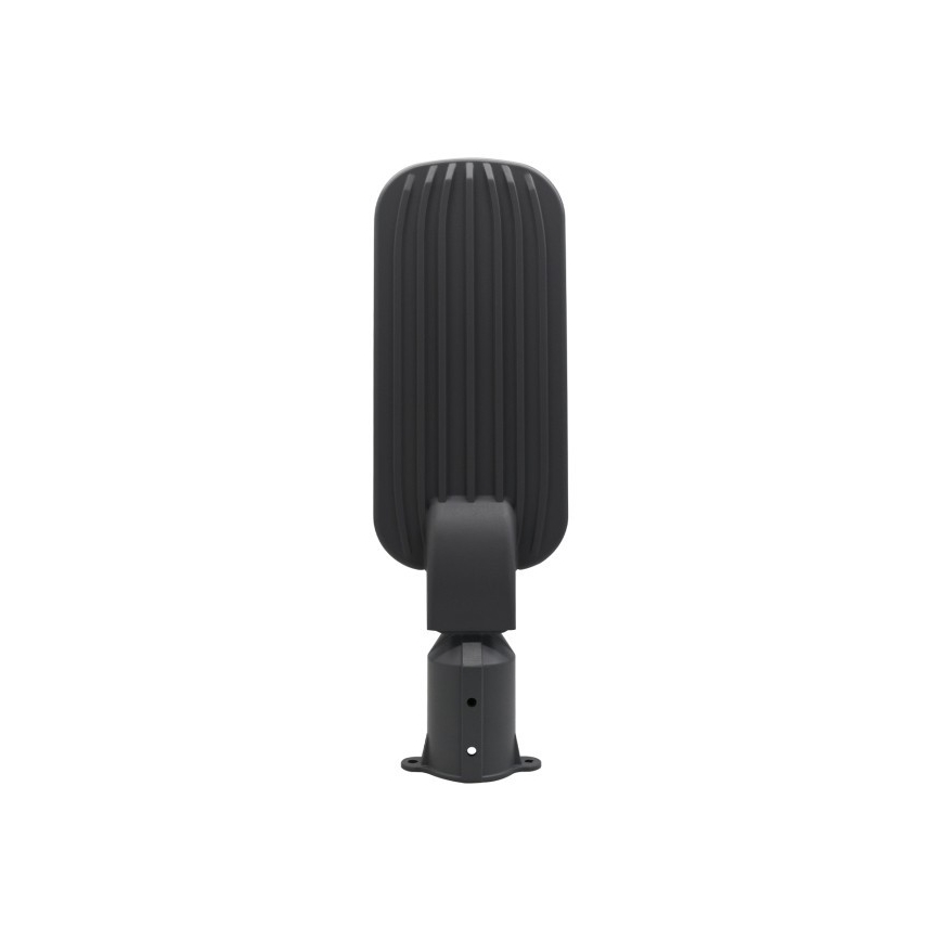 LED gatvės šviestuvas BRELUXO LED/100W/230V 4000K IP65