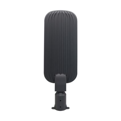 LED gatvės šviestuvas BRELUXO LED/200W/230V 4000K IP65