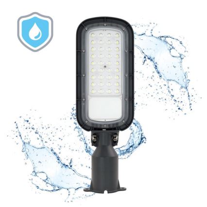 LED gatvės šviestuvas BRELUXO LED/50W/230V 4000K IP65