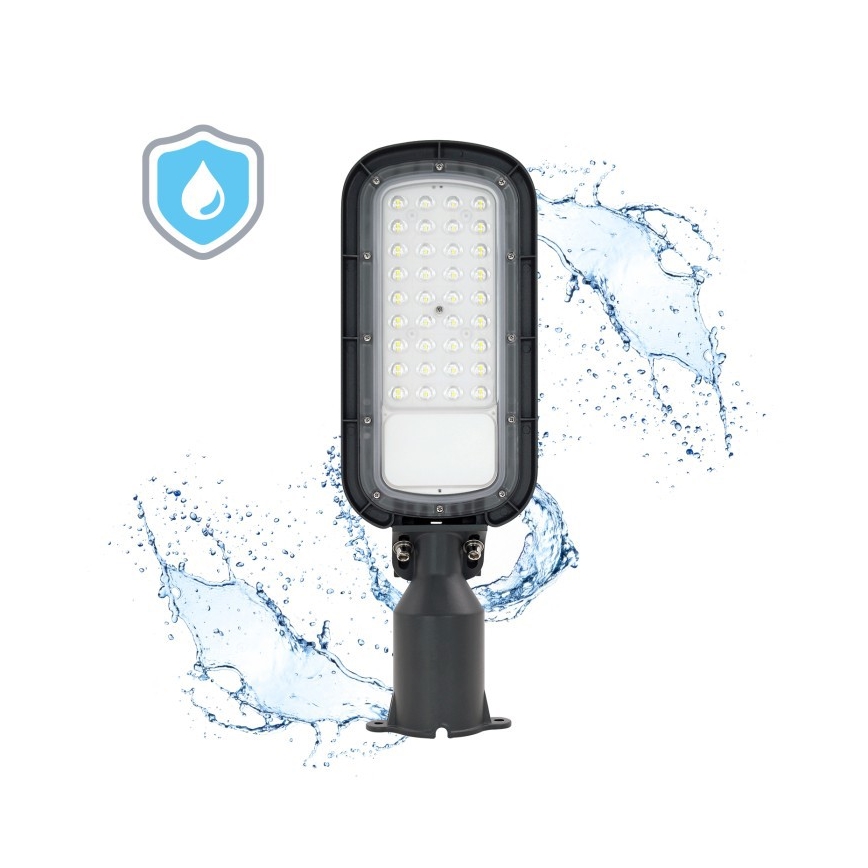 LED gatvės šviestuvas BRELUXO LED/50W/230V 4000K IP65
