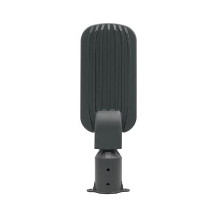 LED gatvės šviestuvas BRELUXO LED/50W/230V 4000K IP65