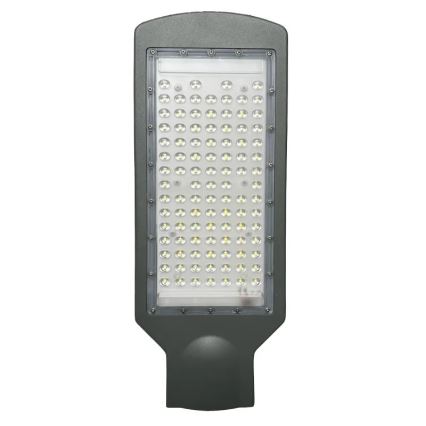 LED gatvės šviestuvas LED/100W/170-400V IP65