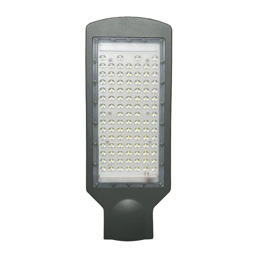 LED gatvės šviestuvas LED/100W/170-400V IP65