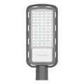 LED gatvės šviestuvas LED/50W/230V 6500K IP65 pilka