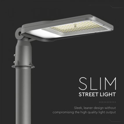 LED gatvės šviestuvas SAMSUNG CHIP LED/100W/230V 4000K IP65