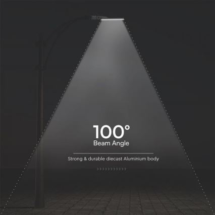 LED gatvės šviestuvas SAMSUNG CHIP LED/100W/230V 4000K IP65