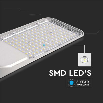 LED gatvės šviestuvas SAMSUNG CHIP LED/30W/230V 6500K IP65 pilka