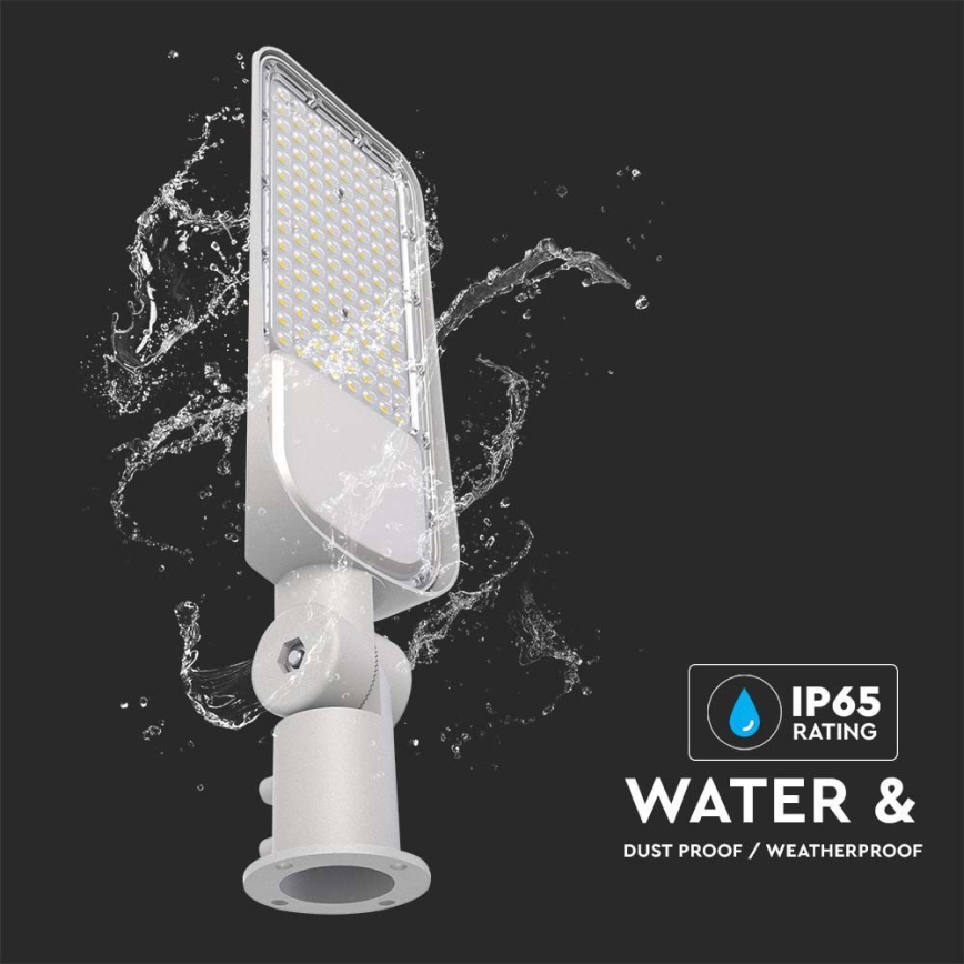 LED gatvės šviestuvas SAMSUNG CHIP LED/30W/230V 6500K IP65 pilka