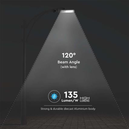 LED gatvės šviestuvas SAMSUNG CHIP LED/50W/230V 6500K pilka