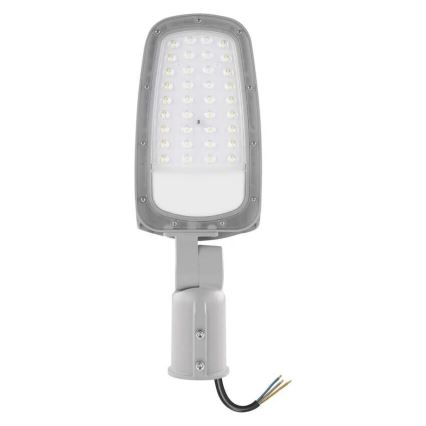 LED gatvės šviestuvas SOLIS LED/30W/230V 4000K IP65