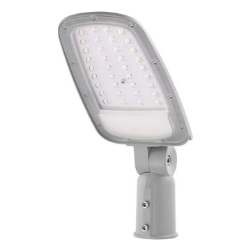 LED gatvės šviestuvas SOLIS LED/50W/230V 4000K IP65