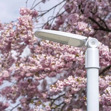 LED gatvės šviestuvas SOLIS LED/50W/230V 4000K IP65